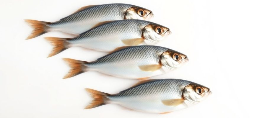 Orata